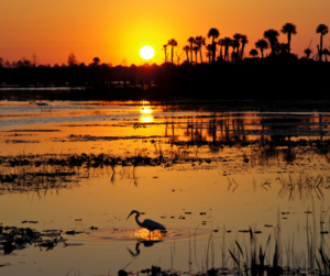 Lakeland Florida Lakes